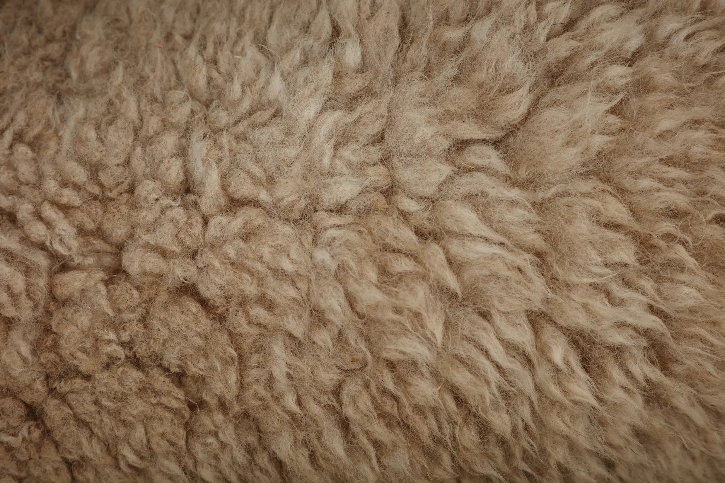 Close-up of plush, curly sherpa fleece pile in camel tan